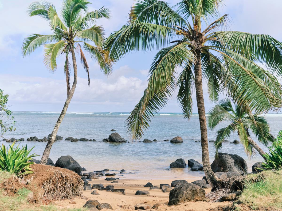 Maui Coast