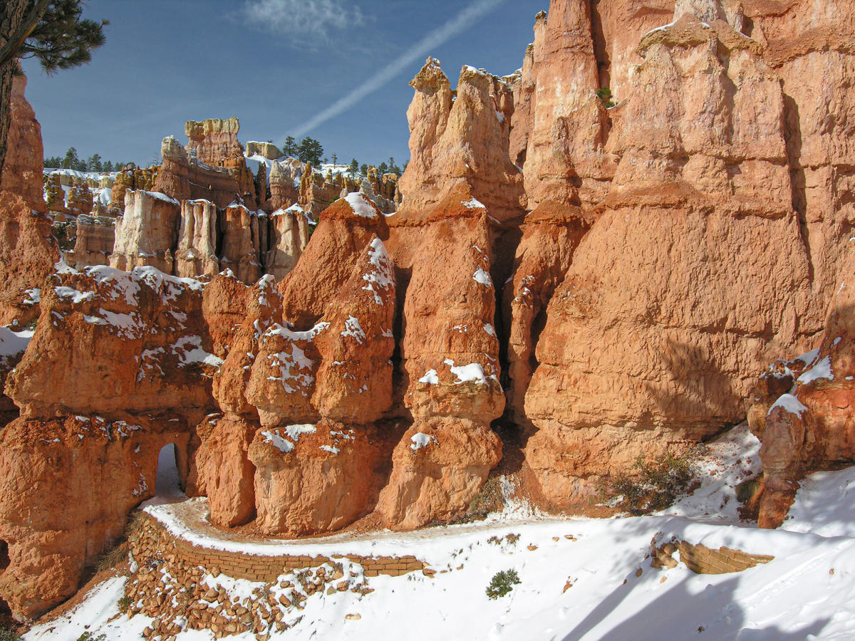 Queens Garden Trail in Winter