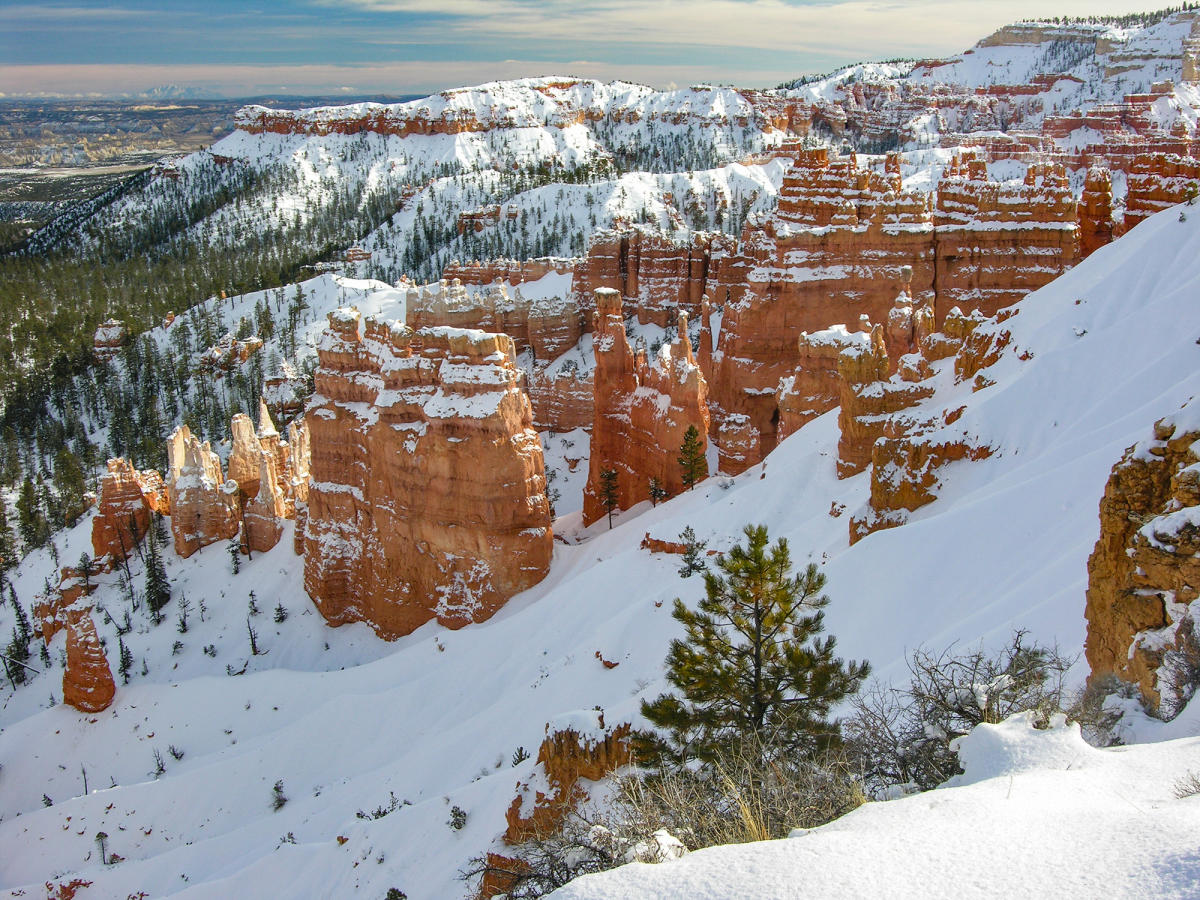 Snow covered hoodoos in Bryce Canyon