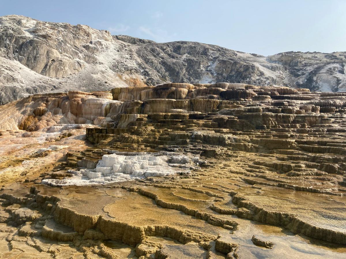 Mammoth Springs