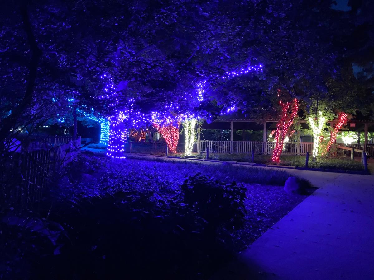 Zoolights Event - Lit Trees at Topeka Zoo | Topeka, KS