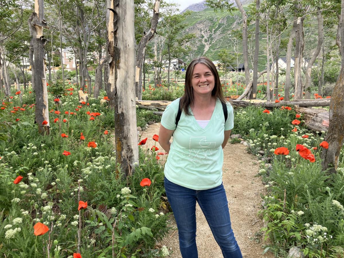 Alpine Poppies