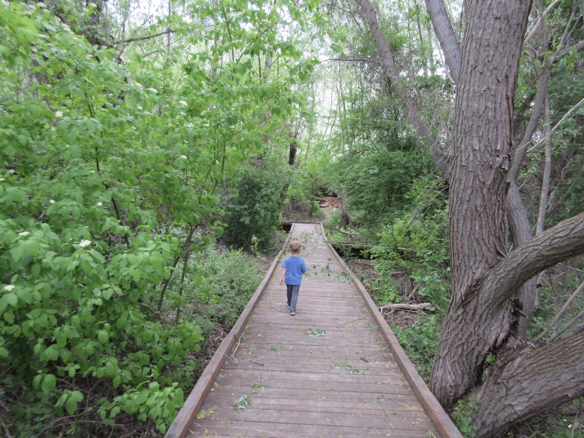 Bicentennial park