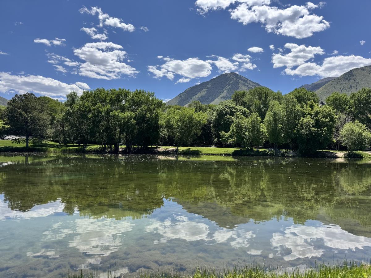Canyon View Park