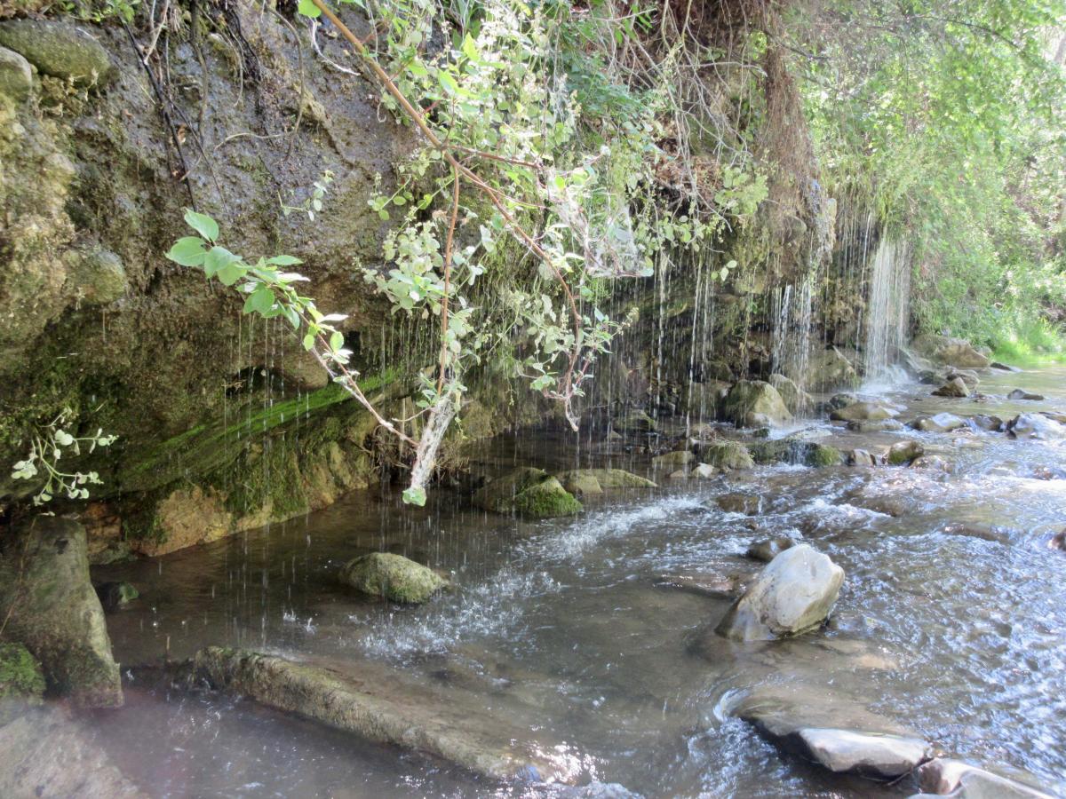 Dripping Rock