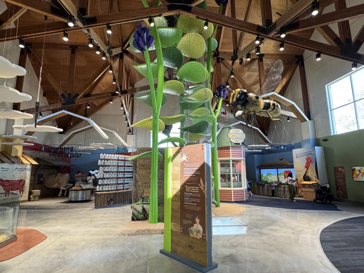 Fall Break Activities Natalie Ockey