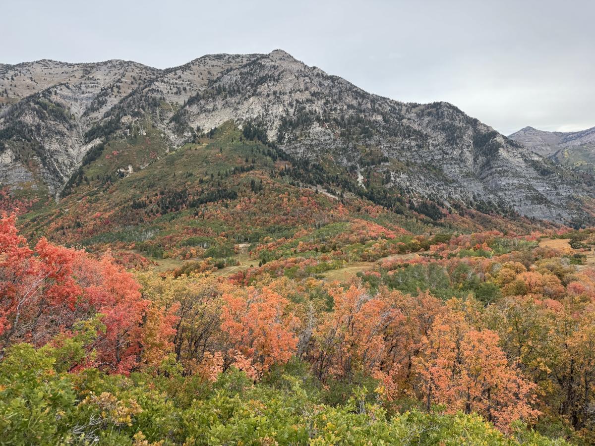 Fall Break Activities Natalie Ockey