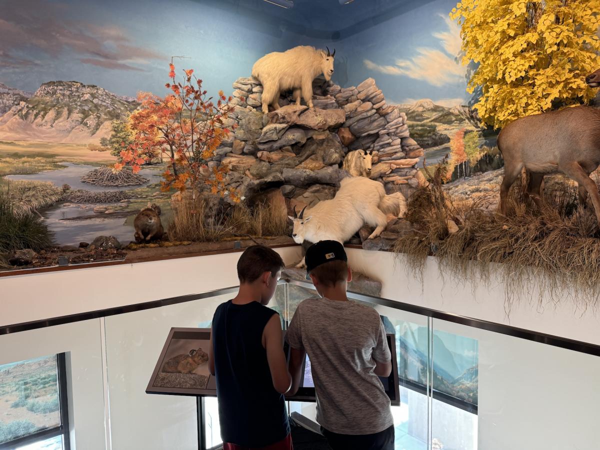 Fall Break Activities Natalie Ockey