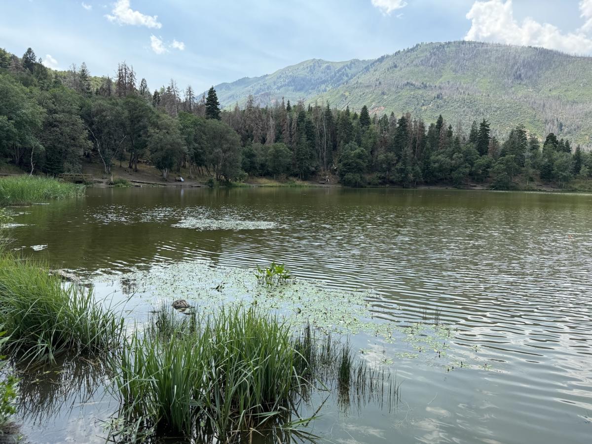 Fall Break Activities Natalie Ockey