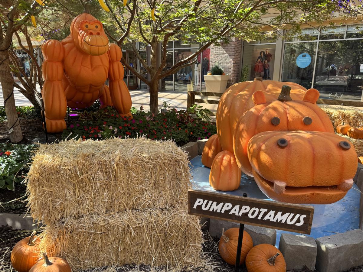 Fall Break Activities Natalie Ockey