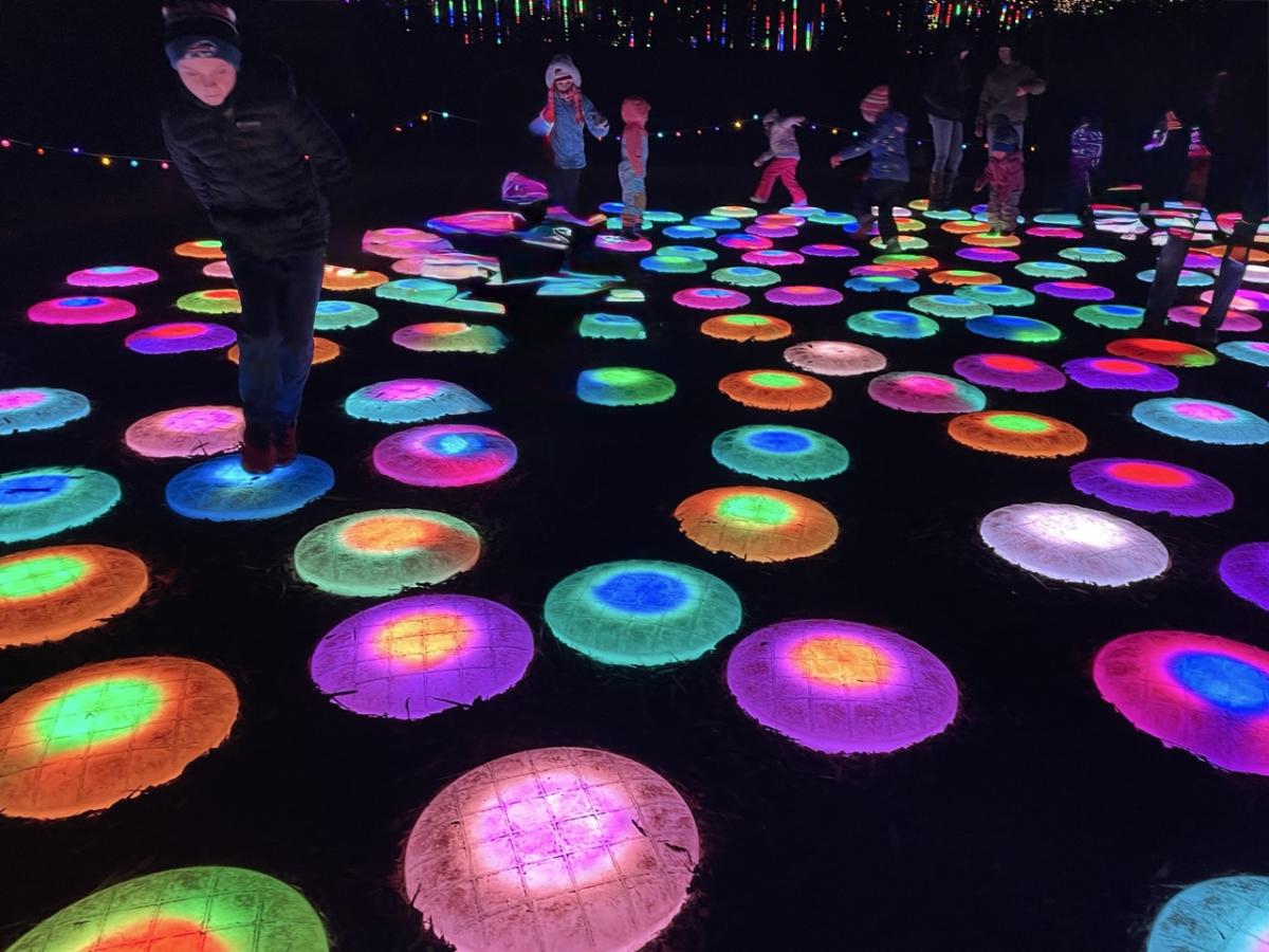 Luminaria Natalie Ockey