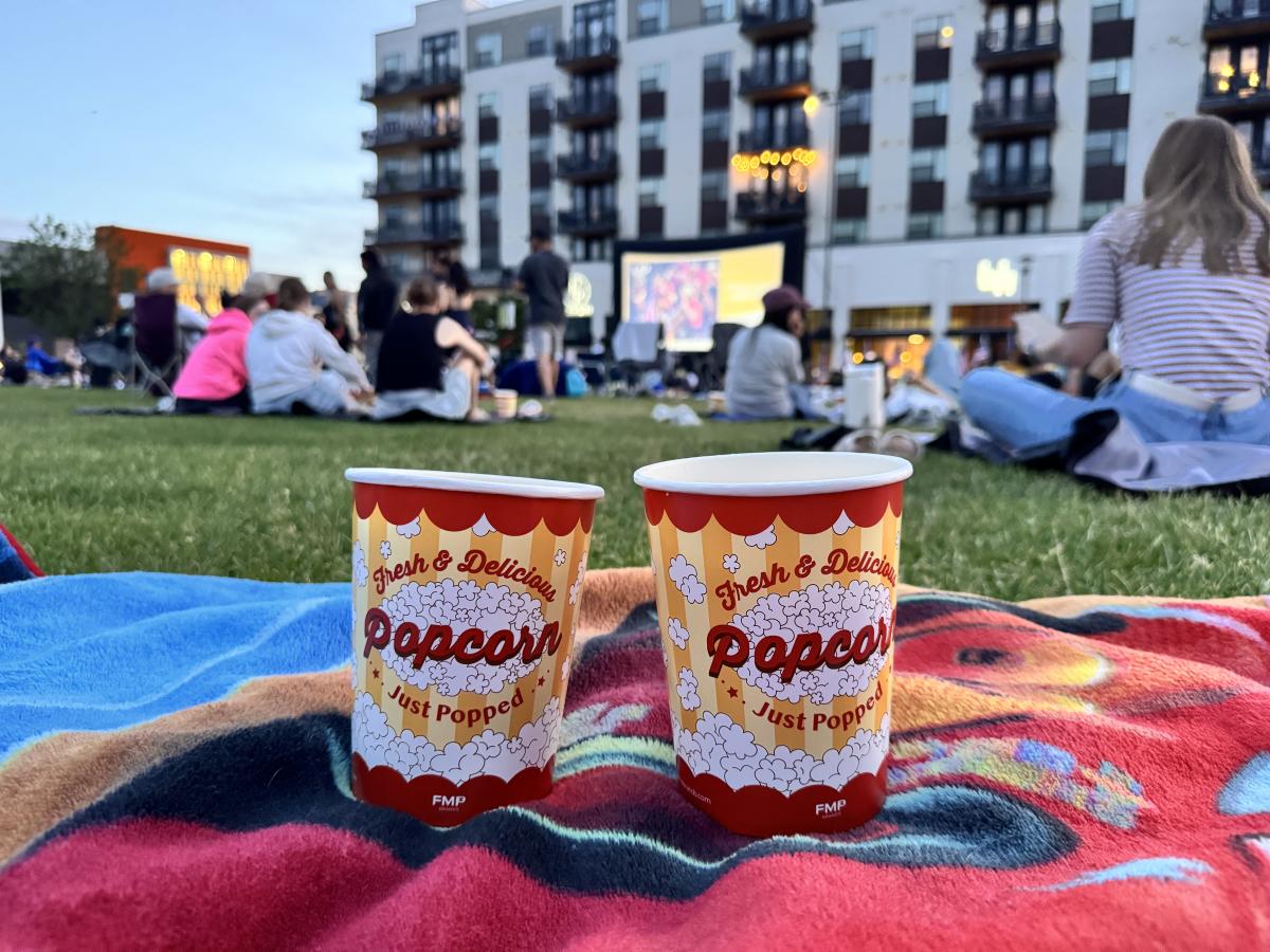 Outdoor Movies