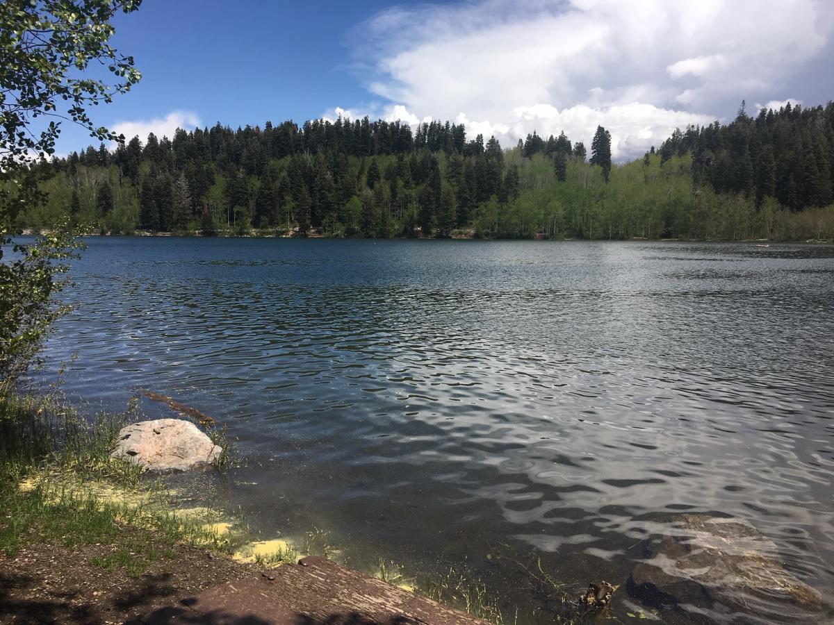 Payson Lakes