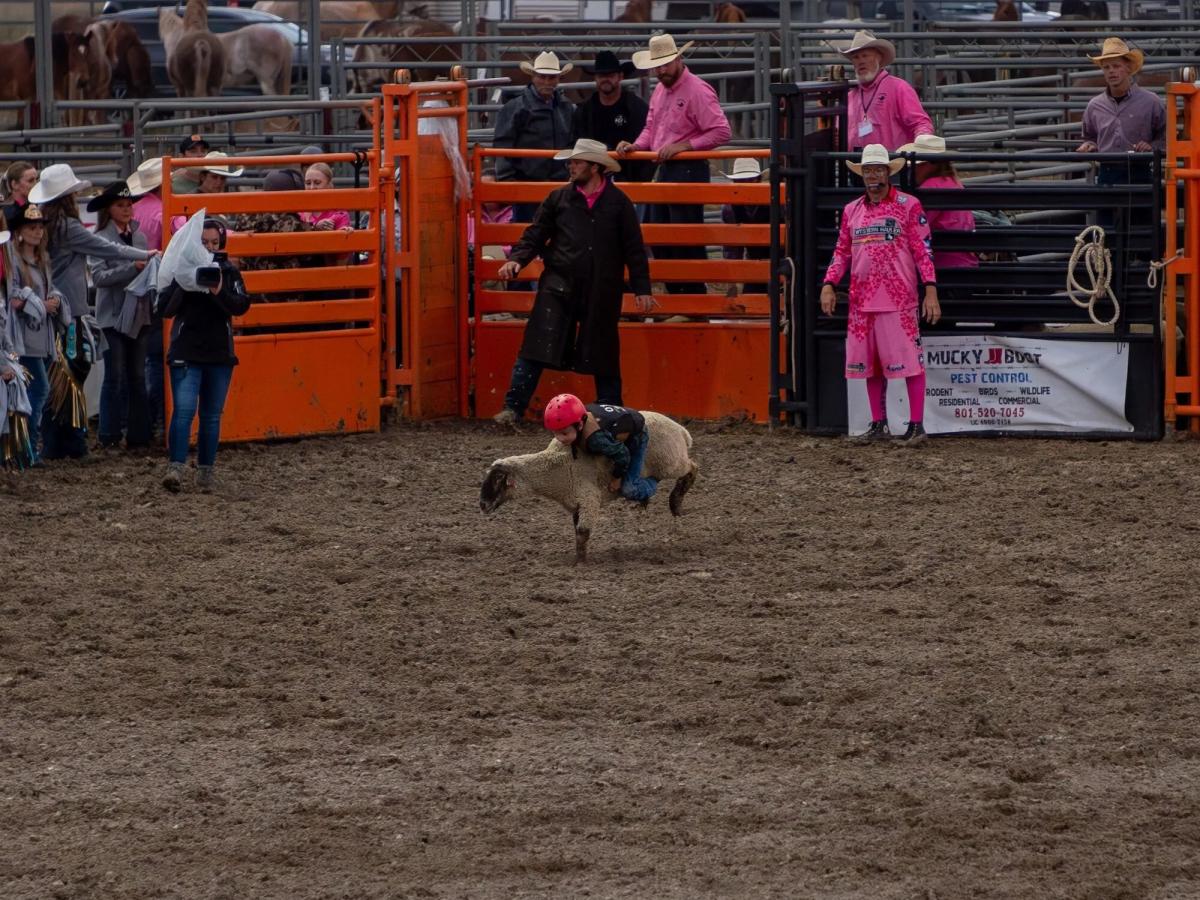 pony express days