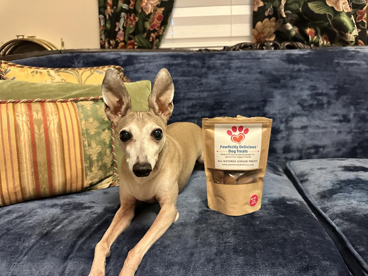 Pawfectly Delicious Dog Treats
