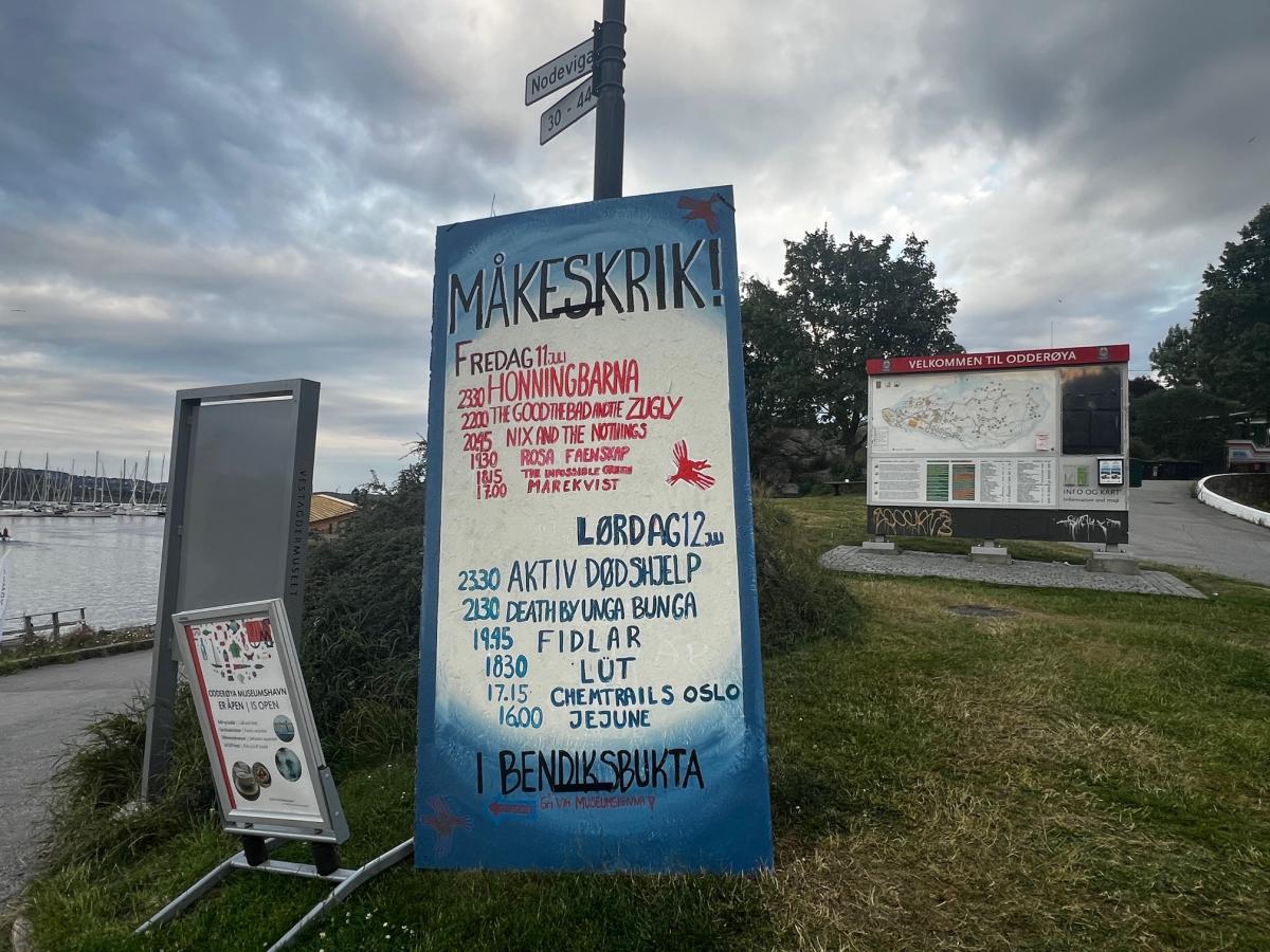 Måkeskrik