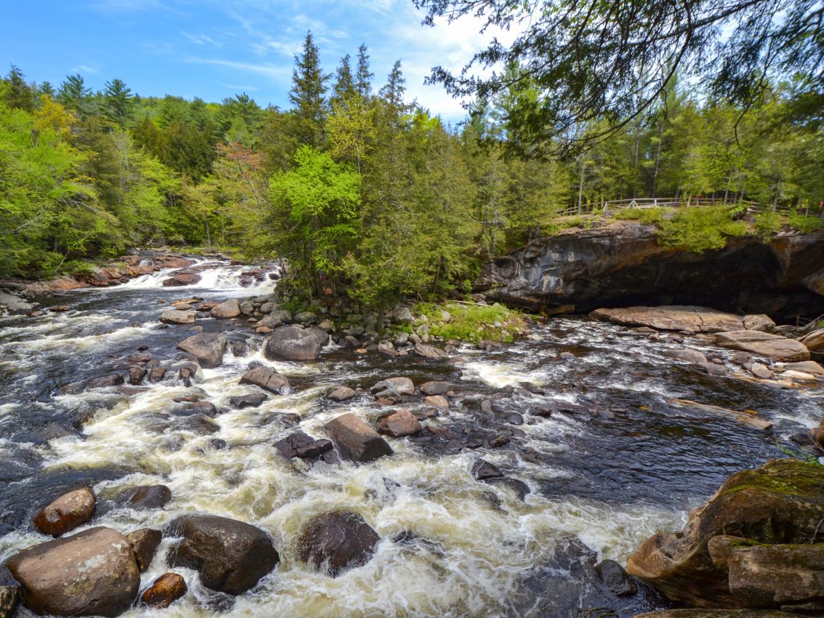 the Natural Stone Bridge