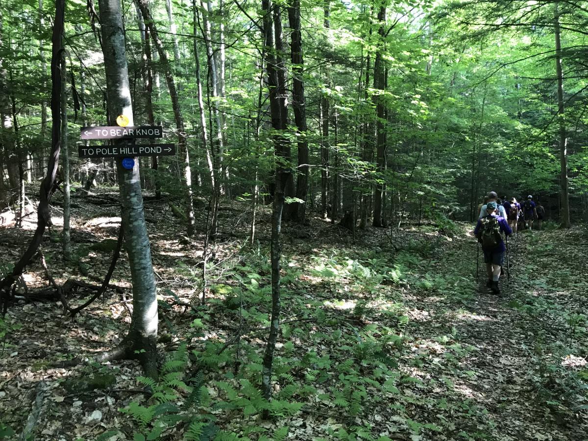 Pole Hill Pond Trail