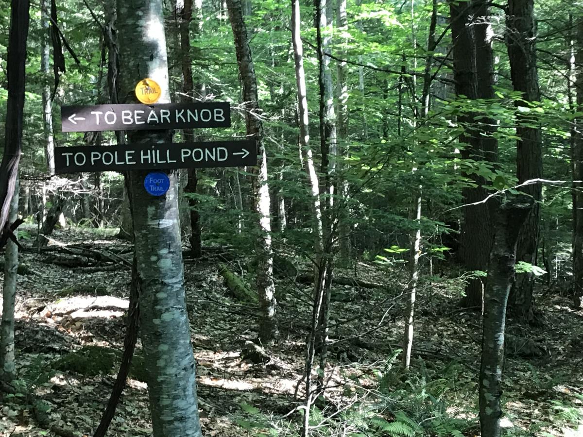 Bearn Knob, Pole Hill Pond Trails Intersection