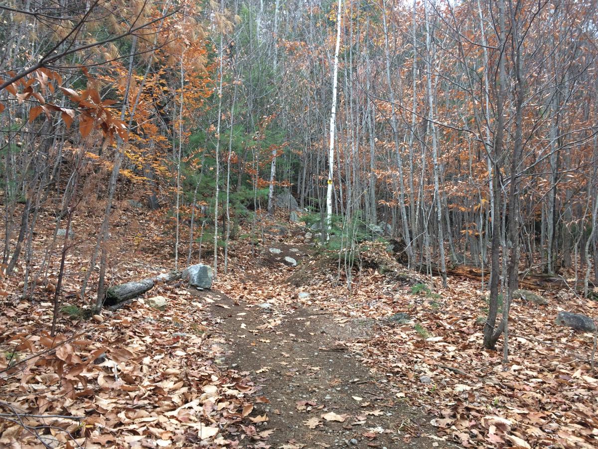 Trail on Stewart Mountain