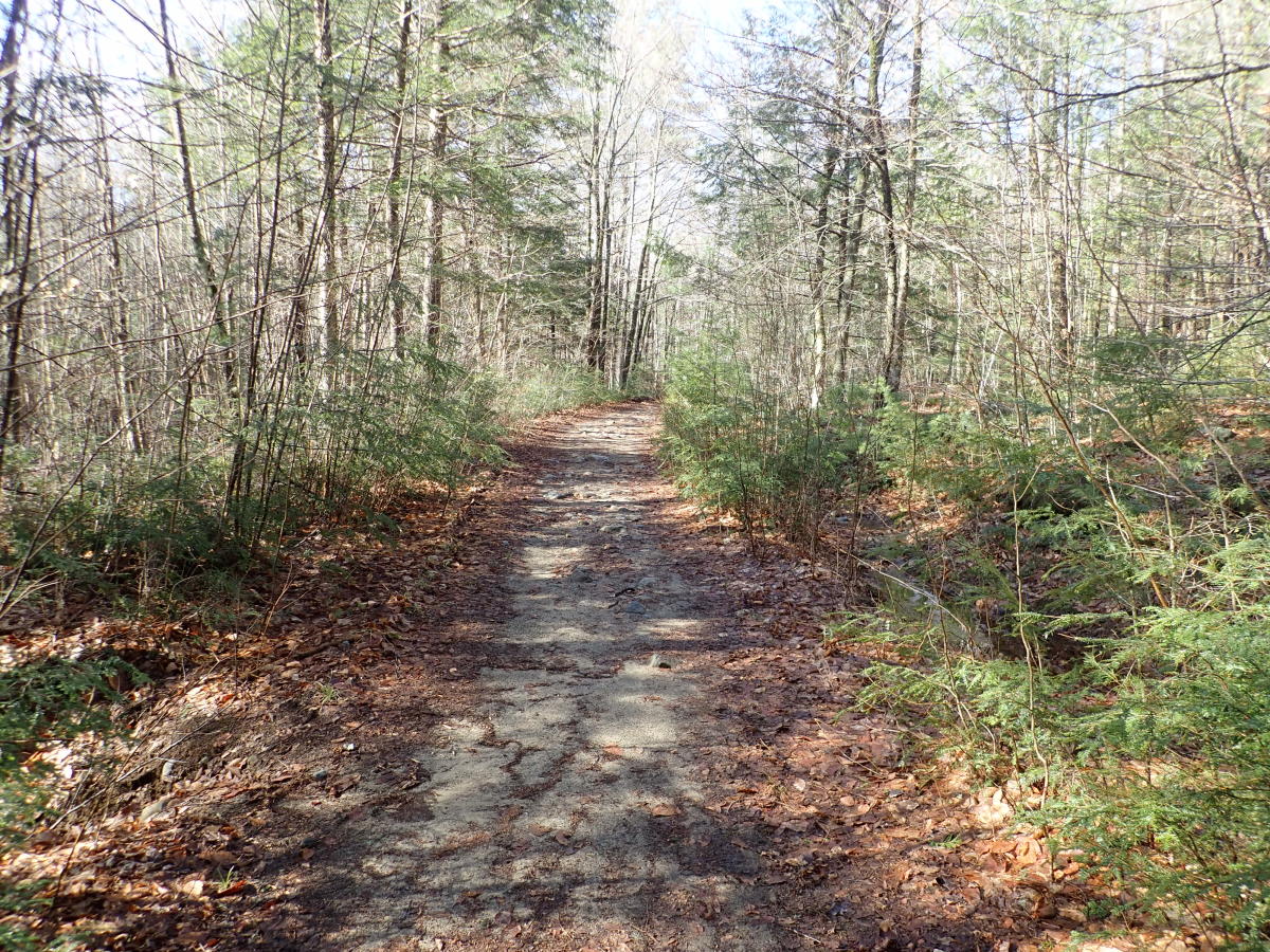 Thomas Mountain Hike