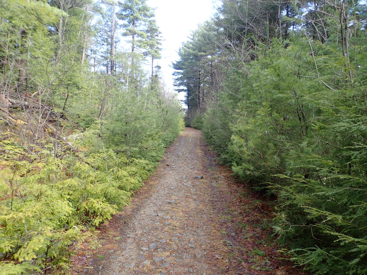 Thomas Mountain Hike