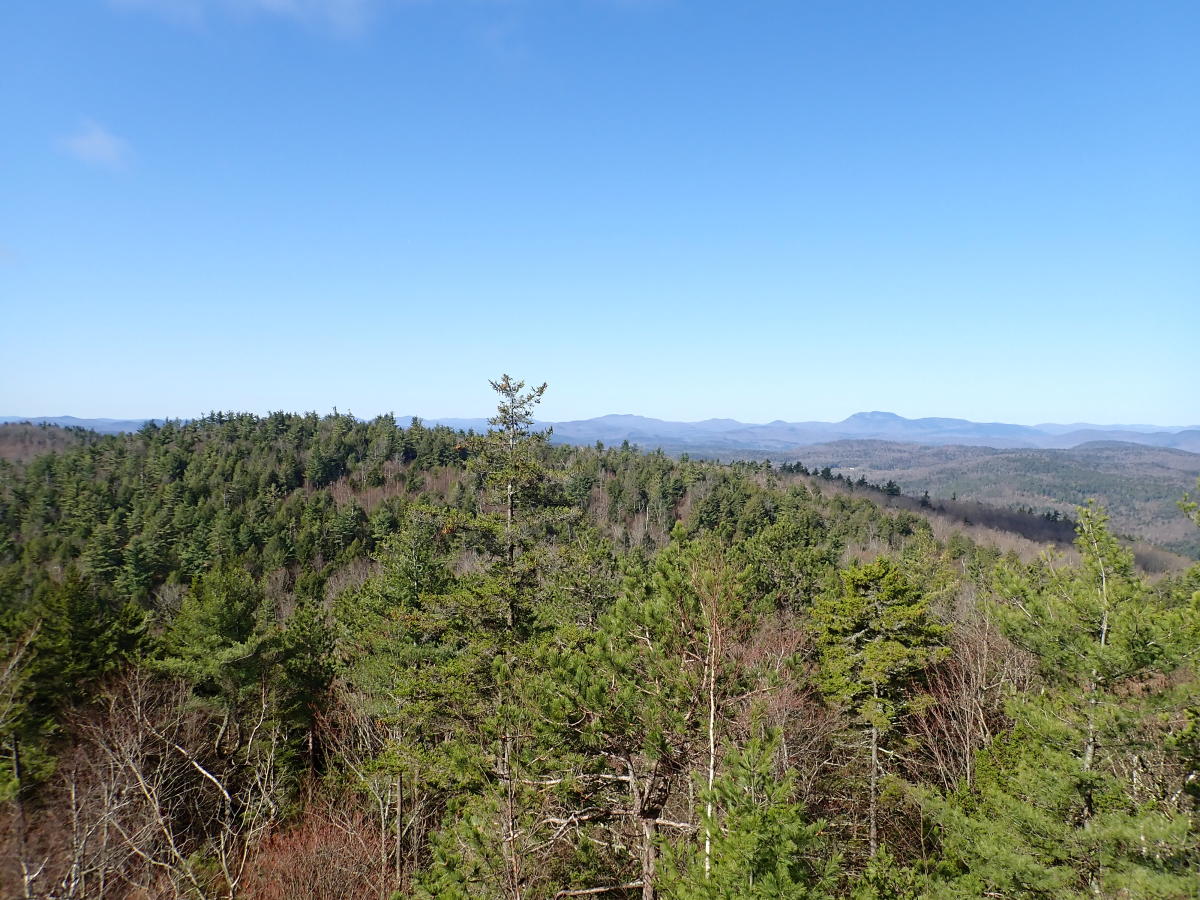 Thomas Mountain Hike