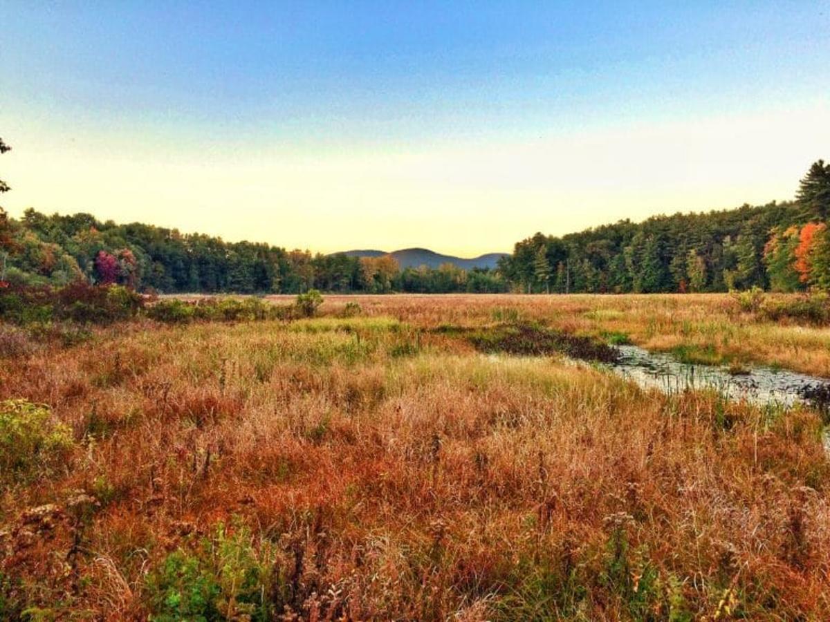 Rush Pond in Fall