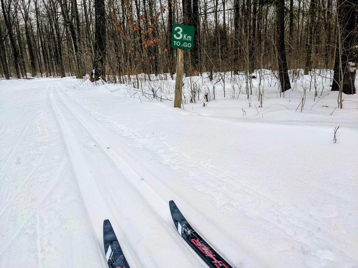 Nine Mile County Forest