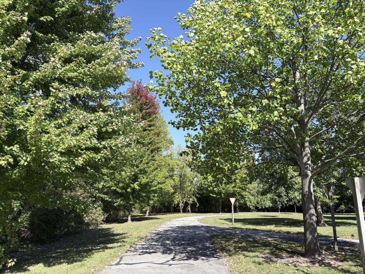 Trailhead Park