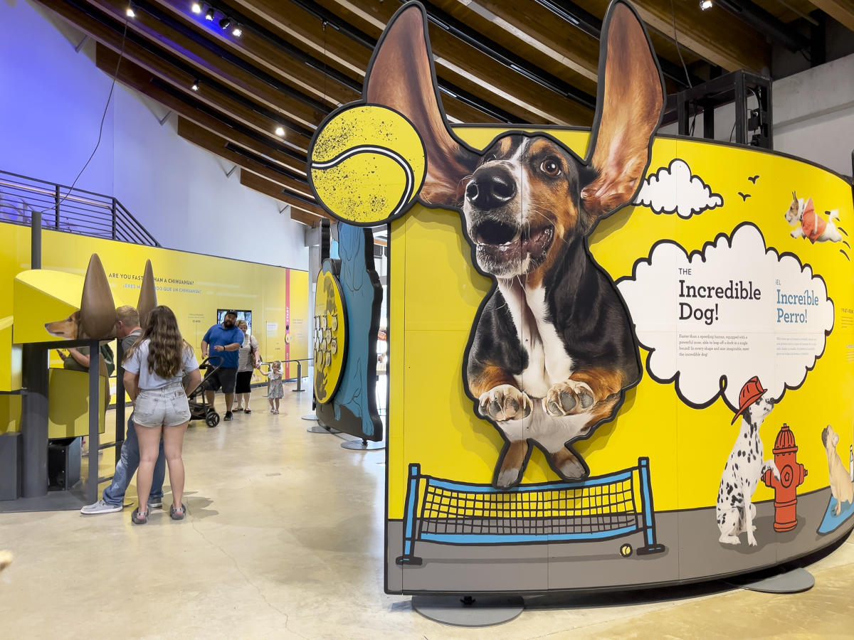 Visitors at Exploration Place view the Dogs! A Science Tail traveling exhibit at Exploration Place