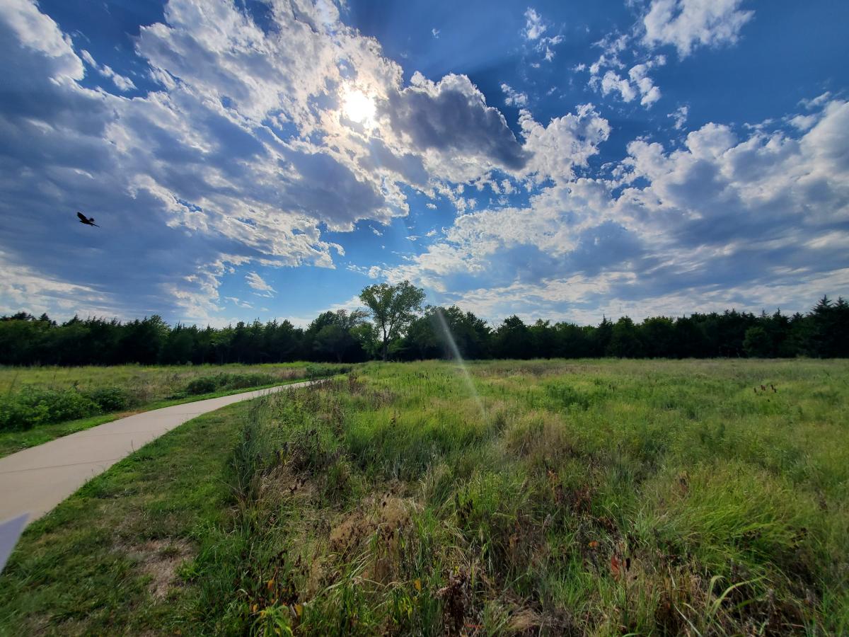 The sun shines over Swanson Park
