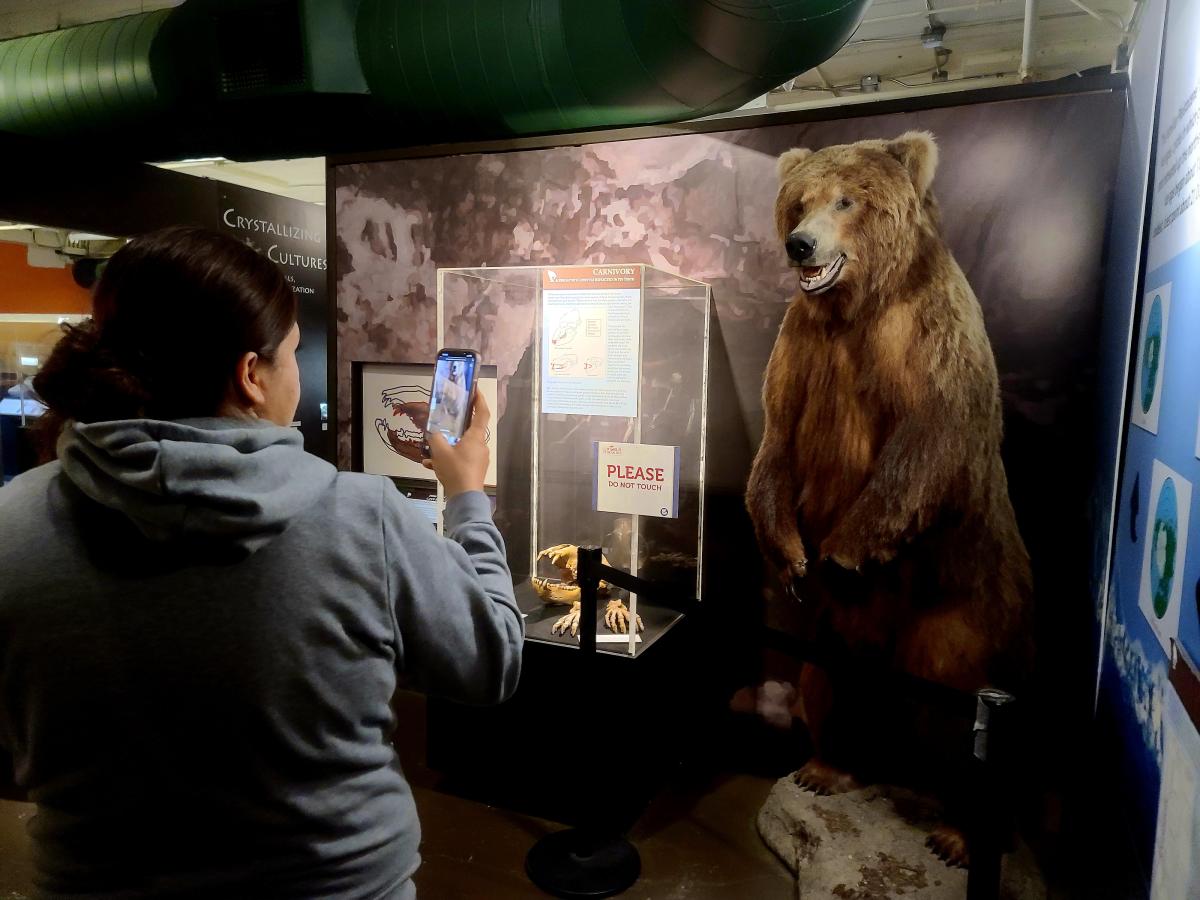 A woman takes a photo of a stuffed brown bear on exhibit at Museum of World Treasures