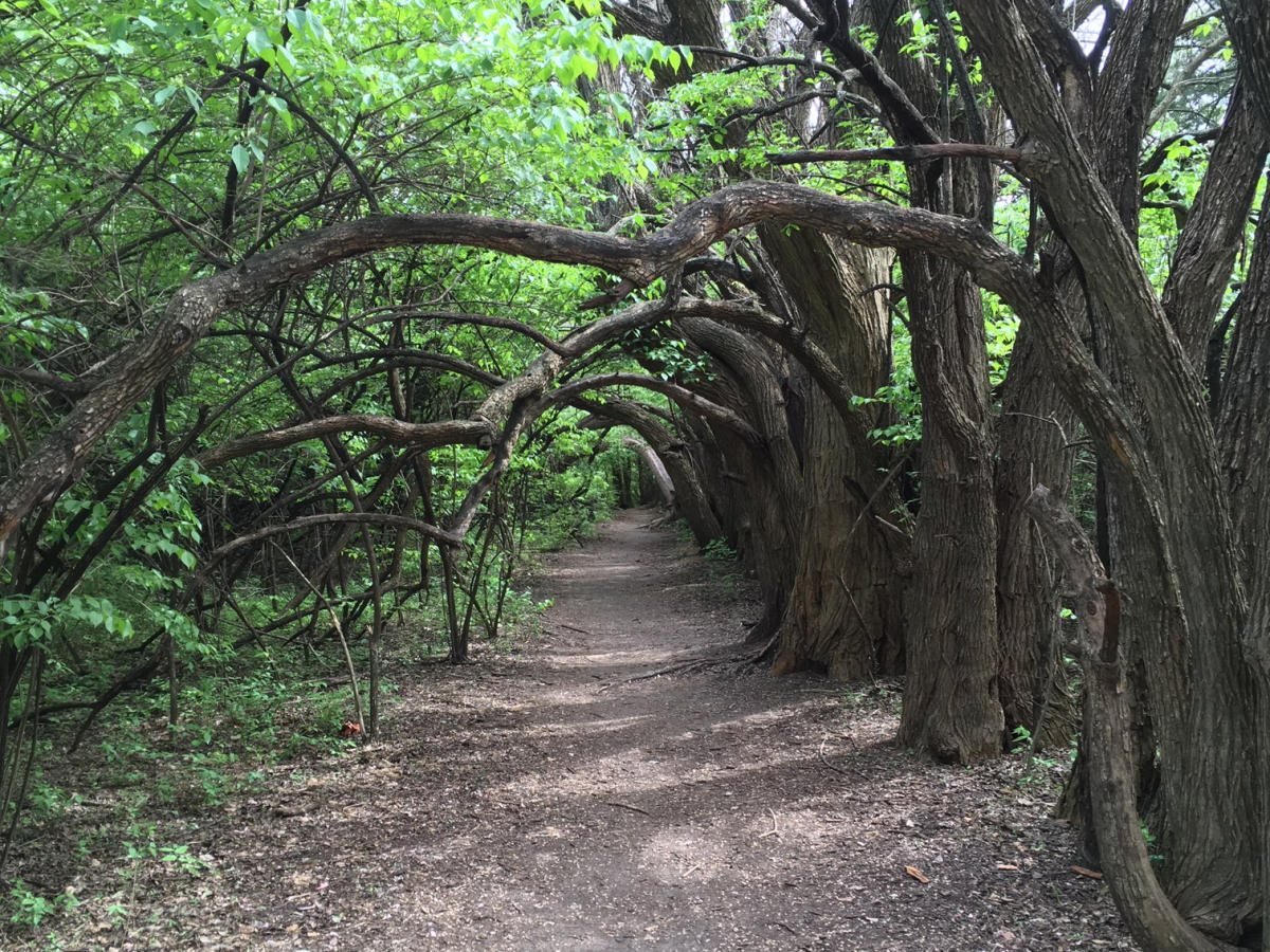 Trail at Great Plains Nature Center