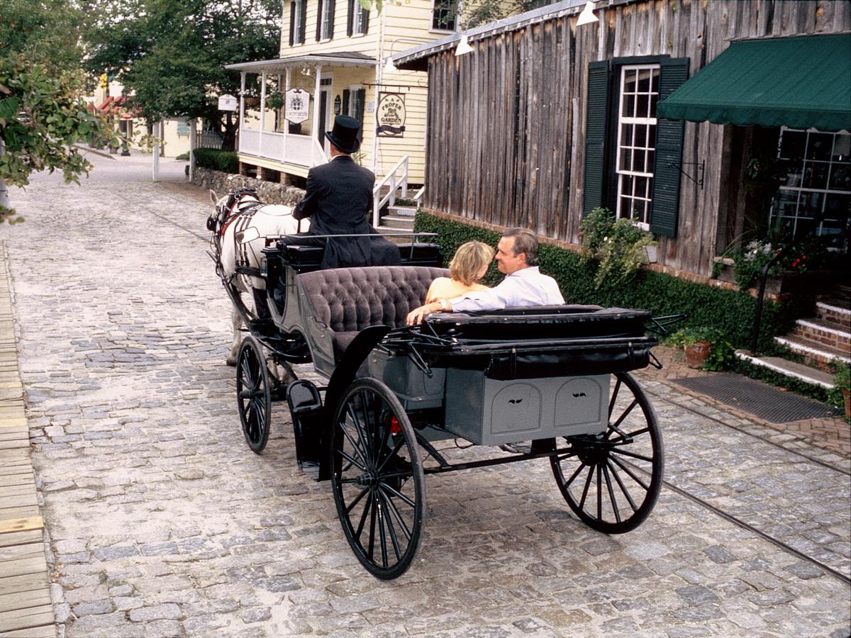 Couple in Horse Carriage