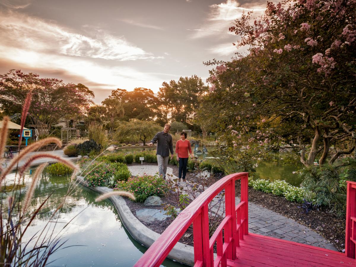 NHC Arboretum's Japanese garden