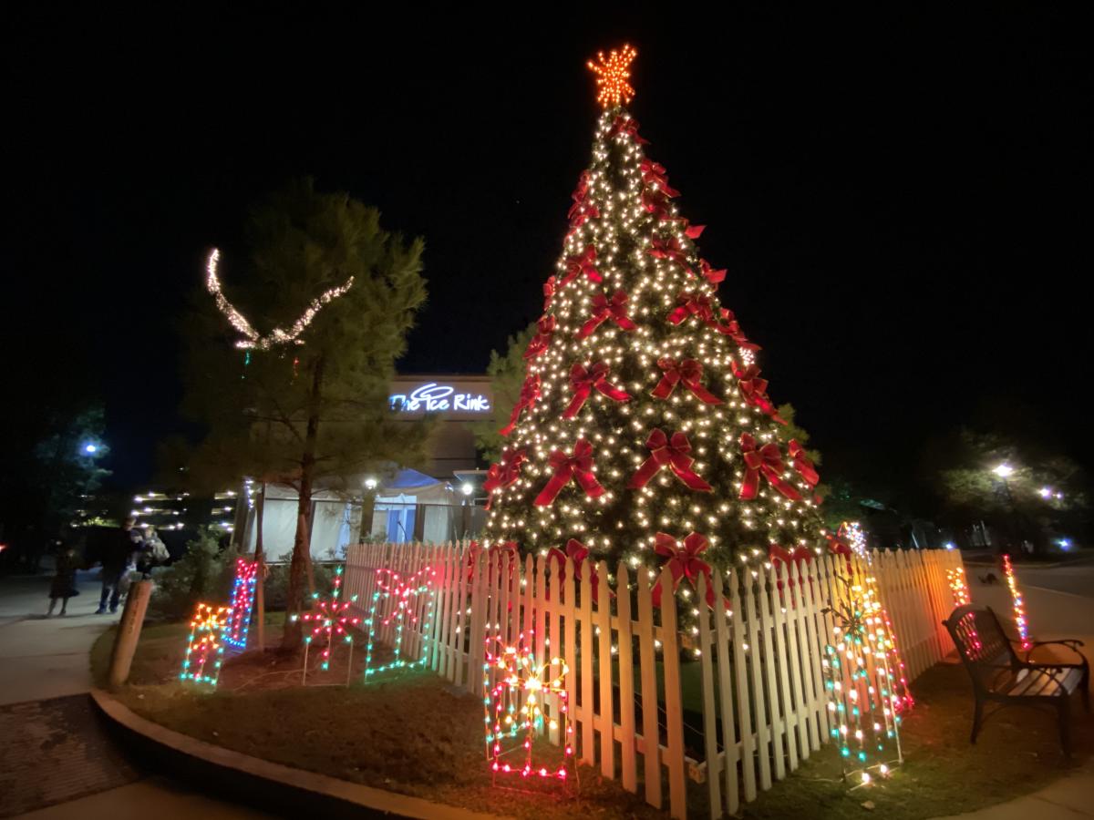 Christmas Trees and Holiday Lights in The Woodlands The Official