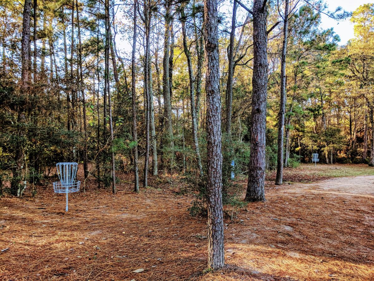 Bear Branch Disc Golf