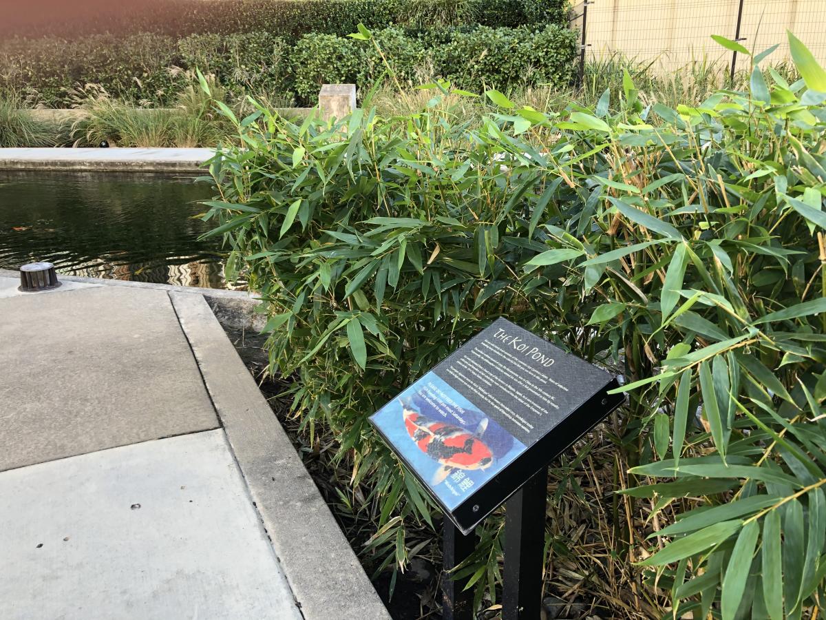 Informational sign near plants and water at The Koi Garden