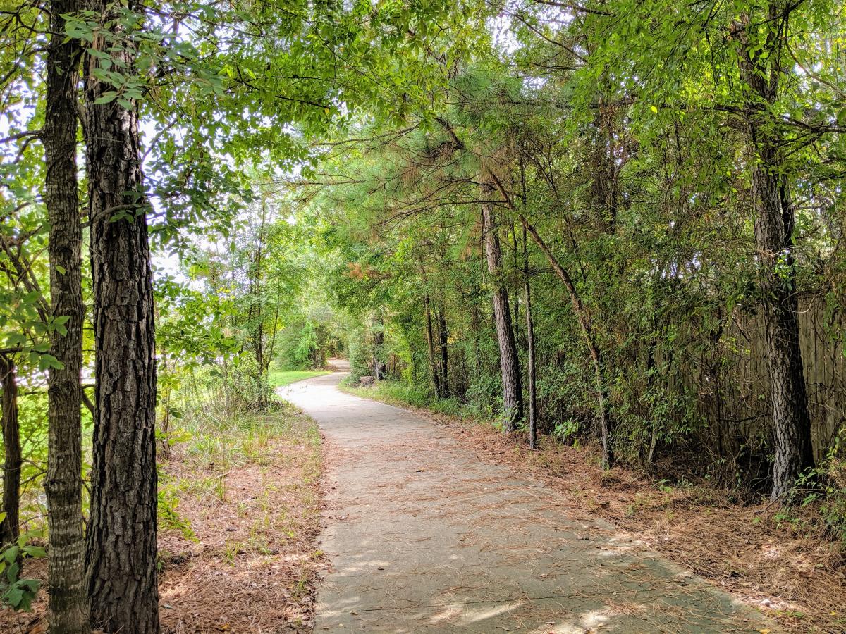 Pathways in The Woodlands