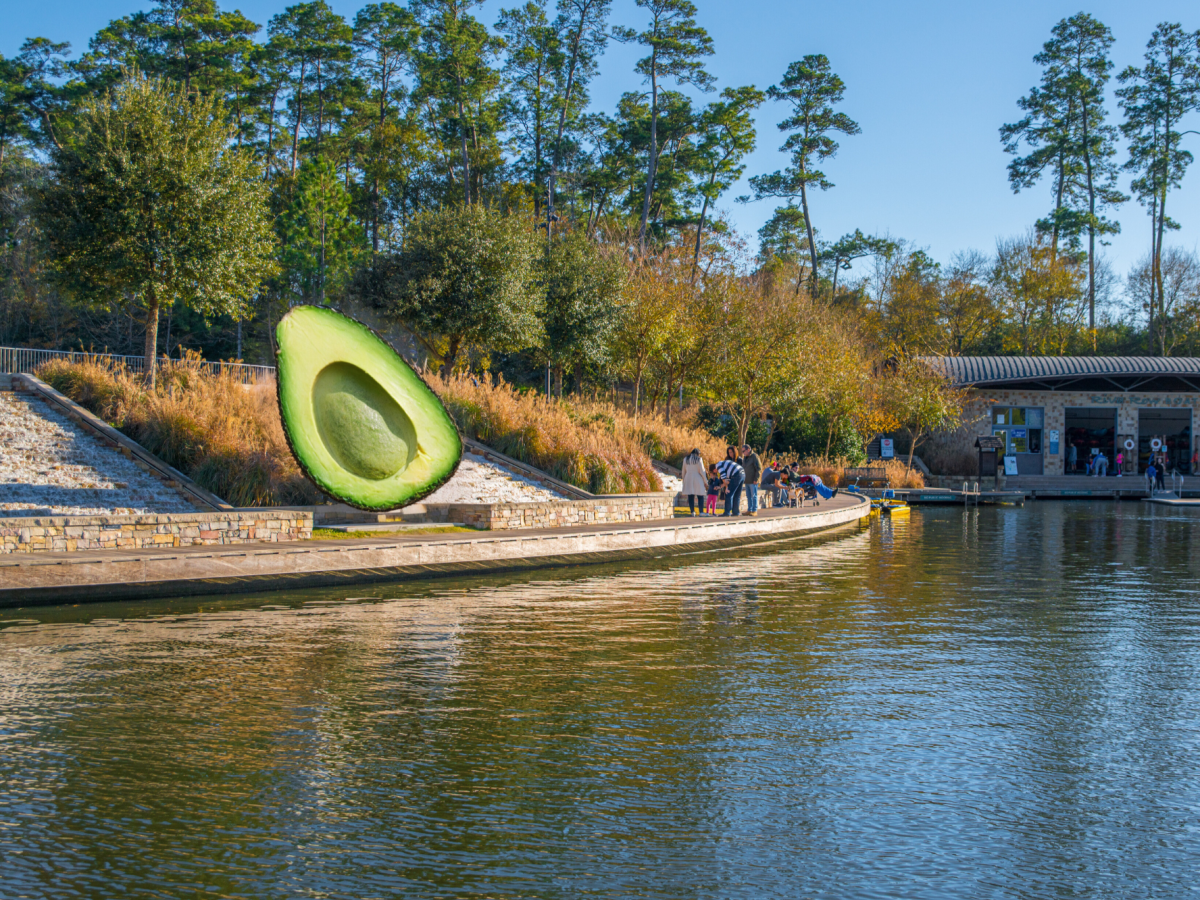 Mystical Avocado