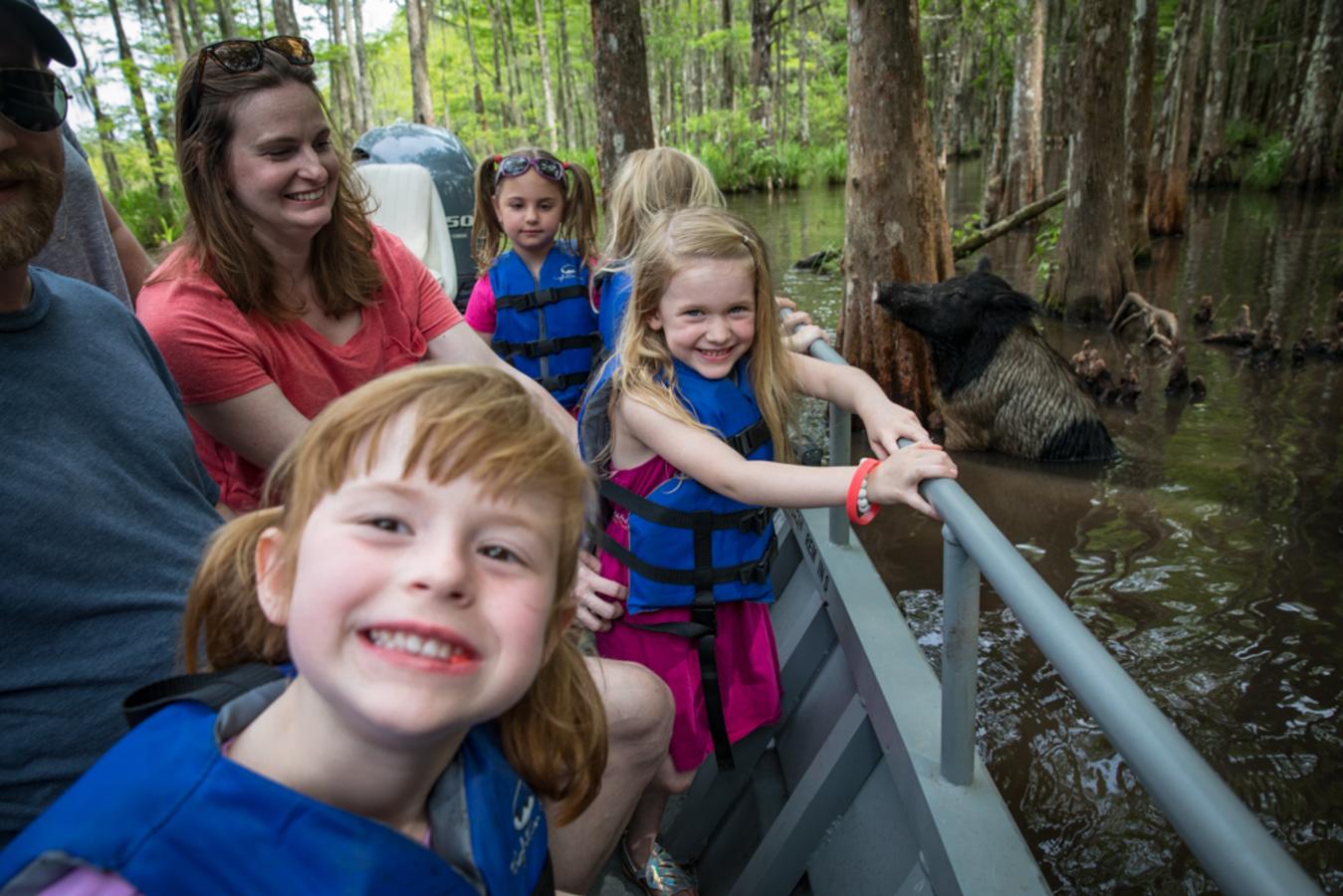 Swamp Tour