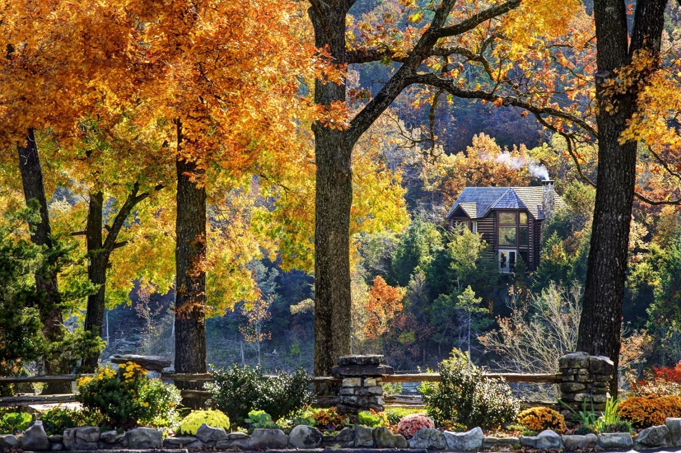 A scenic, wide-angle autumn view of a rustic log cabin nestled in the forest at Big Cedar Lodge near Branson, Missouri. In the foreground, a manicured garden bed with low shrubs, flowers, and stones is bordered by a rustic wooden fence supported by decorative stone pillars.Several large, mature trees with thick dark trunks frame the shot, their leaves glowing in vibrant shades of golden yellow, fiery orange, and deep amber. Through the colorful canopy in the background, a multi-story wooden lodge or cabin with a dark pitched roof is tucked into the hillside, surrounded by dense evergreen and deciduous trees. A thin plume of white smoke rises gently from its chimney, adding a cozy, warm atmosphere to the crisp autumn landscape.