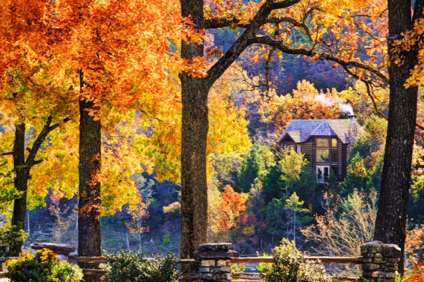 A scenic, wide-angle autumn view of a rustic log cabin nestled in the forest at Big Cedar Lodge near Branson, Missouri. In the foreground, a manicured garden bed with low shrubs, flowers, and stones is bordered by a rustic wooden fence supported by decorative stone pillars.Several large, mature trees with thick dark trunks frame the shot, their leaves glowing in vibrant shades of golden yellow, fiery orange, and deep amber. Through the colorful canopy in the background, a multi-story wooden lodge or cabin with a dark pitched roof is tucked into the hillside, surrounded by dense evergreen and deciduous trees. A thin plume of white smoke rises gently from its chimney, adding a cozy, warm atmosphere to the crisp autumn landscape.