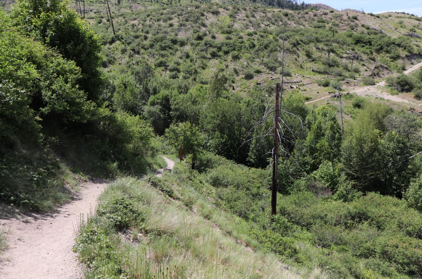 Lebanon Creek Greenway Regional Park Image 3