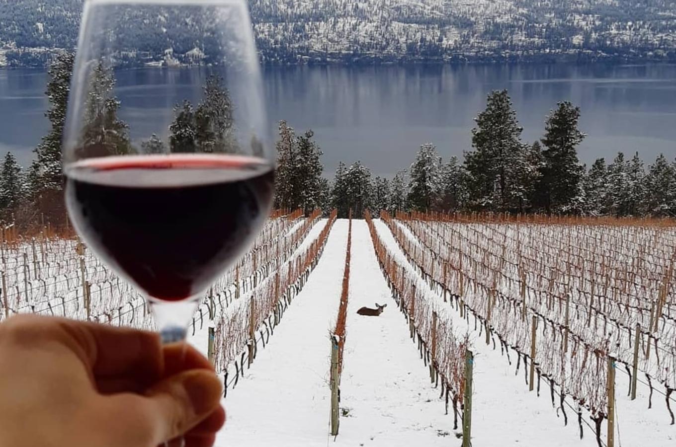 Arrowleaf Winery Winter View
