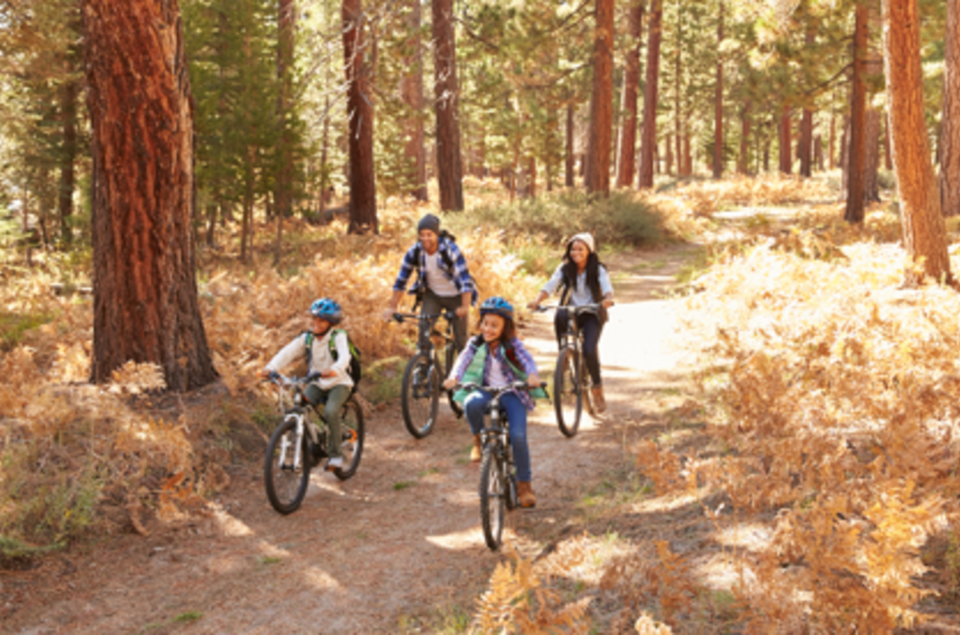 Biking Family