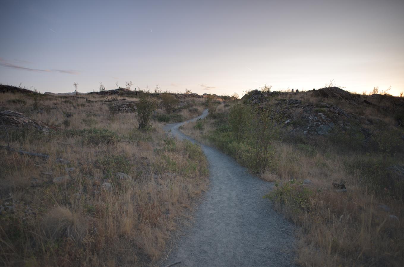 Kuiper's Peak 3