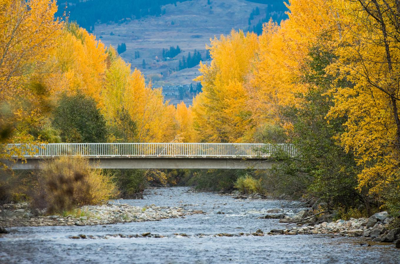 Mission Creek Greenway Regional Park