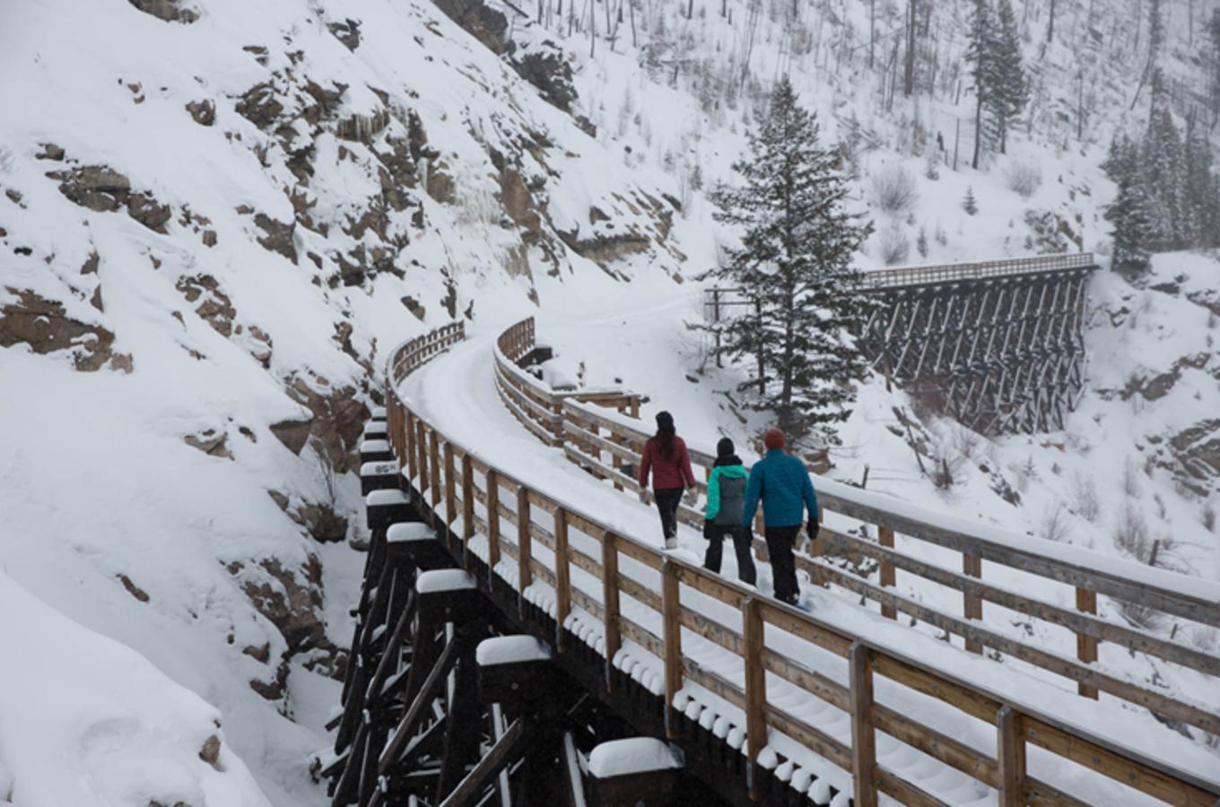 Winter Trestles with Snowshoes